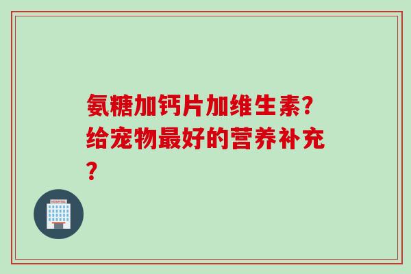 氨糖加钙片加维生素？给宠物最好的营养补充？