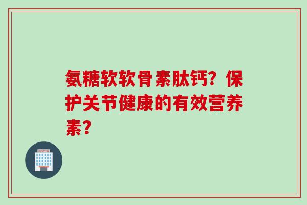 氨糖软软骨素肽钙？保护关节健康的有效营养素？