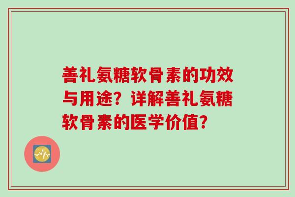 善礼氨糖软骨素的功效与用途？详解善礼氨糖软骨素的医学价值？