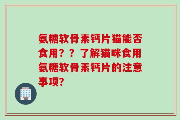 氨糖软骨素钙片猫能否食用？？了解猫咪食用氨糖软骨素钙片的注意事项？