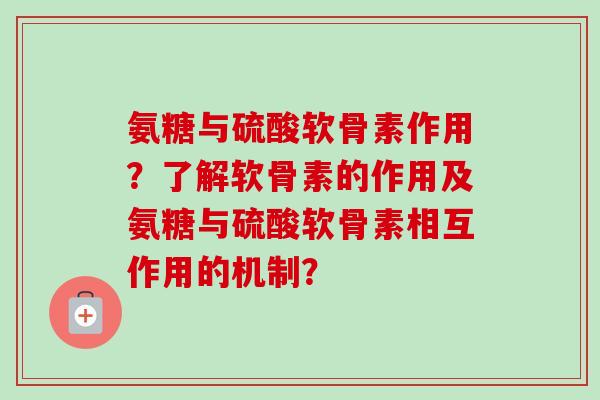 氨糖与硫酸软骨素作用？了解软骨素的作用及氨糖与硫酸软骨素相互作用的机制？