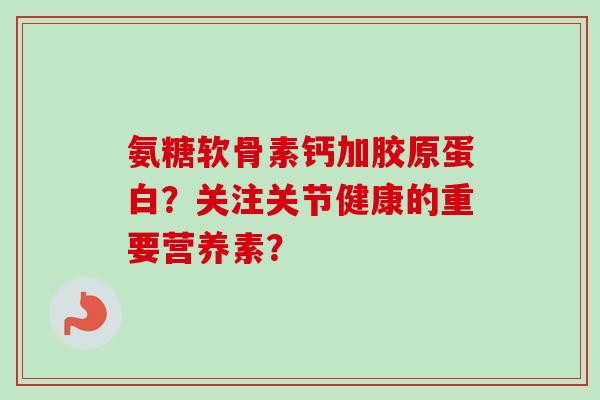 氨糖软骨素钙加胶原蛋白？关注关节健康的重要营养素？