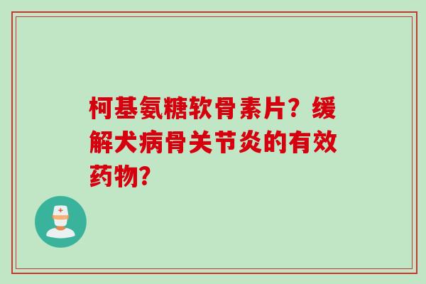 柯基氨糖软骨素片？缓解犬骨的有效？