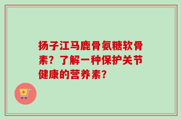 扬子江马鹿骨氨糖软骨素？了解一种保护关节健康的营养素？