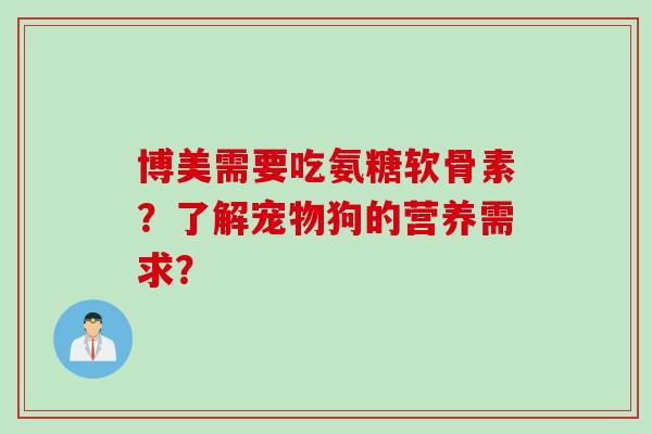博美需要吃氨糖软骨素？了解宠物狗的营养需求？
