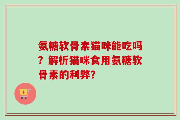 氨糖软骨素猫咪能吃吗？解析猫咪食用氨糖软骨素的利弊？