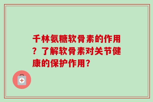千林氨糖软骨素的作用？了解软骨素对关节健康的保护作用？