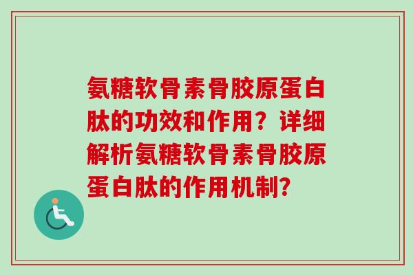 氨糖软骨素骨胶原蛋白肽的功效和作用？详细解析氨糖软骨素骨胶原蛋白肽的作用机制？