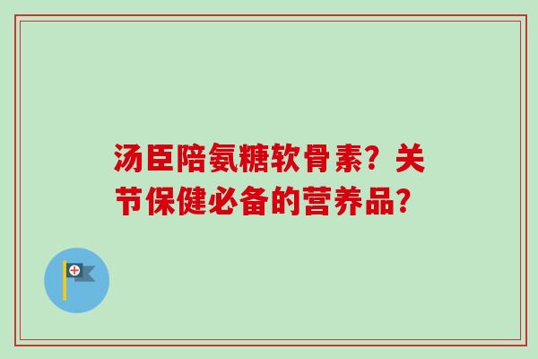 汤臣陪氨糖软骨素？关节保健必备的营养品？