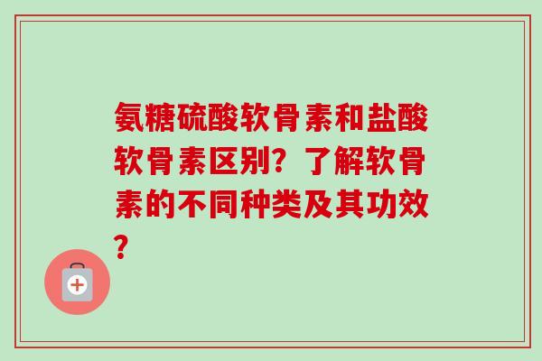 氨糖硫酸软骨素和盐酸软骨素区别？了解软骨素的不同种类及其功效？