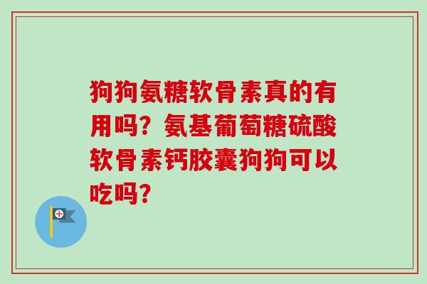 狗狗氨糖软骨素真的有用吗?氨基葡萄糖硫酸软骨素钙胶囊狗狗可以吃吗? 狗狗氨糖软骨素真的有用吗?氨基葡萄糖硫酸软骨素钙胶囊狗狗可以吃吗?