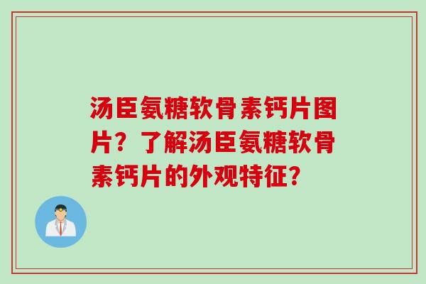 汤臣氨糖软骨素钙片图片？了解汤臣氨糖软骨素钙片的外观特征？