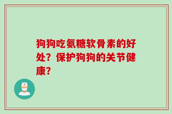 狗狗吃氨糖软骨素的好处？保护狗狗的关节健康？