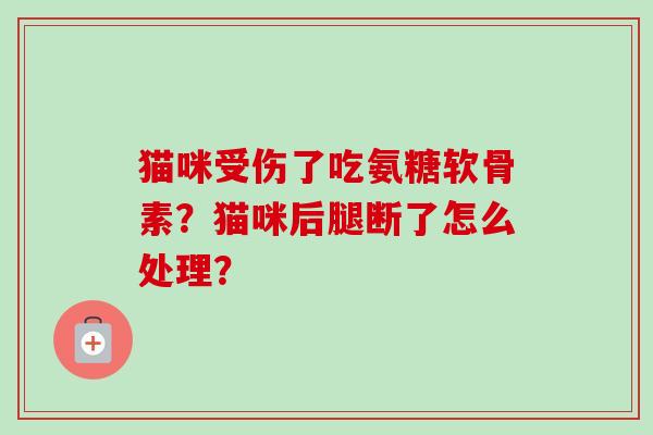 猫咪受伤了吃氨糖软骨素?猫咪后腿断了怎么处理? 猫咪受伤了吃氨糖软骨素?猫咪后腿断了怎么处理?