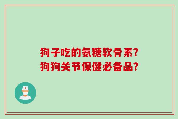 狗子吃的氨糖软骨素?狗狗关节保健必备品? 狗子吃的氨糖软骨素?狗狗关节保健必备品?