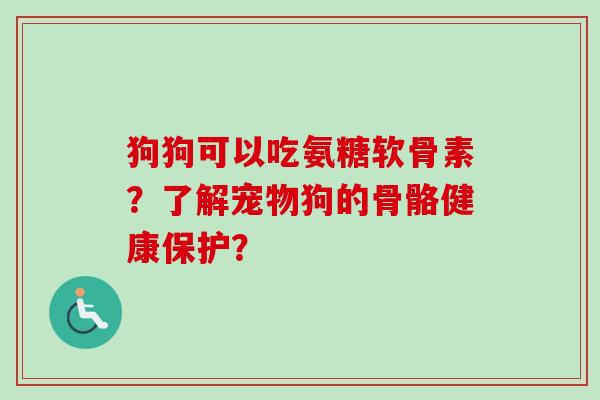 狗狗可以吃氨糖软骨素？了解宠物狗的骨骼健康保护？