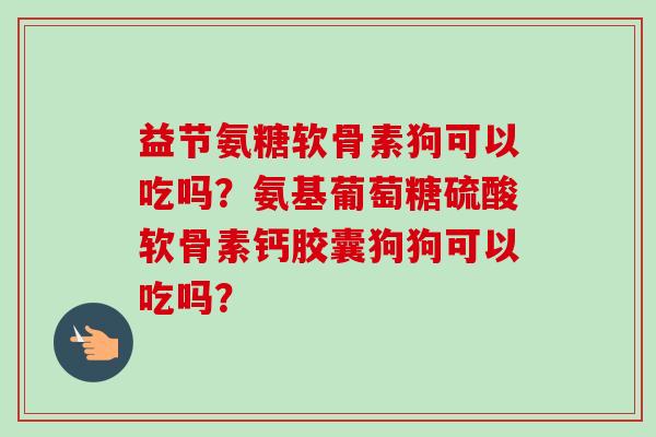 益节氨糖软骨素狗可以吃吗？氨基葡萄糖硫酸软骨素钙胶囊狗狗可以吃吗？