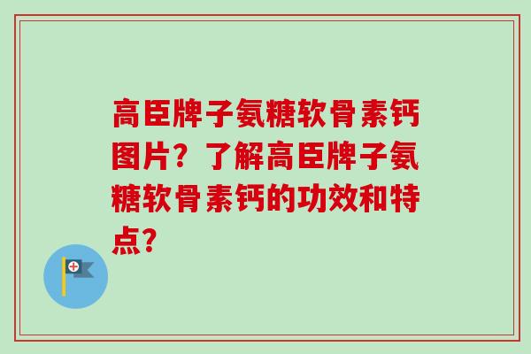 高臣牌子氨糖软骨素钙图片？了解高臣牌子氨糖软骨素钙的功效和特点？