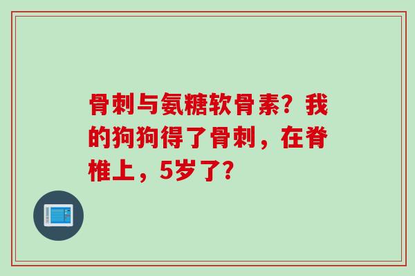 骨刺与氨糖软骨素？我的狗狗得了骨刺，在脊椎上，5岁了？