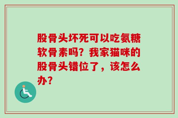 股骨头坏死可以吃氨糖软骨素吗？我家猫咪的股骨头错位了，该怎么办？
