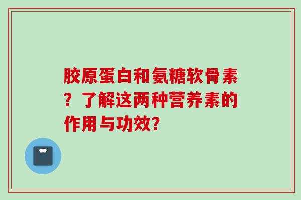 胶原蛋白和氨糖软骨素？了解这两种营养素的作用与功效？