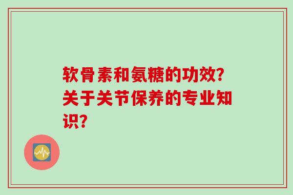 软骨素和氨糖的功效？关于关节保养的专业知识？