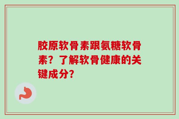 胶原软骨素跟氨糖软骨素？了解软骨健康的关键成分？