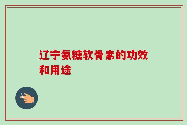 辽宁氨糖软骨素的功效和用途