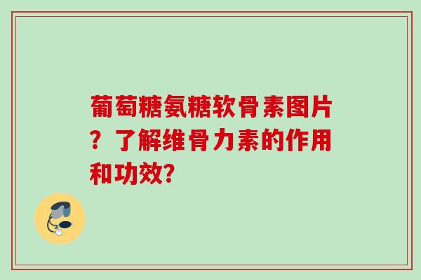 葡萄糖氨糖软骨素图片？了解维骨力素的作用和功效？