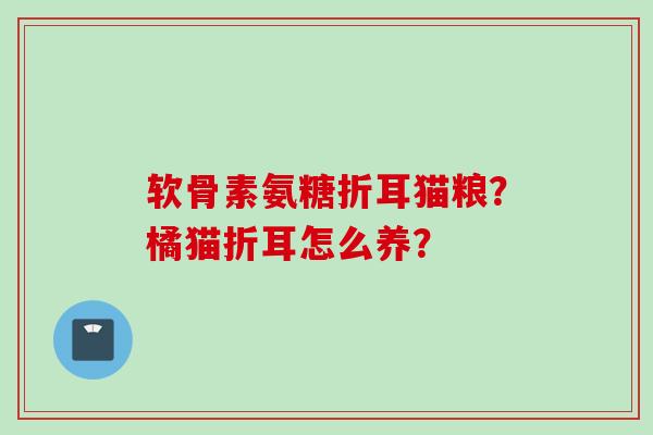 软骨素氨糖折耳猫粮？橘猫折耳怎么养？