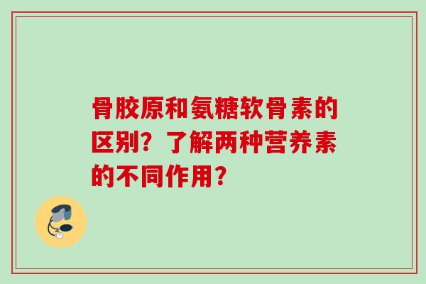 骨胶原和氨糖软骨素的区别？了解两种营养素的不同作用？