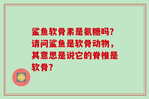 鲨鱼软骨素是氨糖吗？请问鲨鱼是软骨动物，其意思是说它的脊椎是软骨？