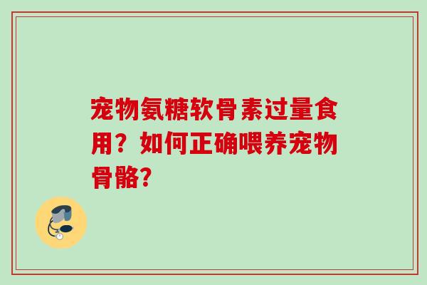宠物氨糖软骨素过量食用？如何正确喂养宠物骨骼？