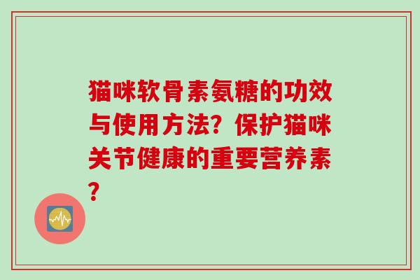 猫咪软骨素氨糖的功效与使用方法？保护猫咪关节健康的重要营养素？