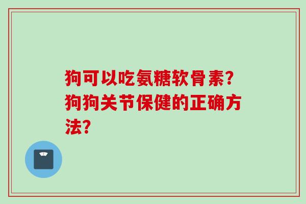 狗可以吃氨糖软骨素?狗狗关节保健的正确方法? 狗可以吃氨糖软骨素?狗狗关节保健的正确方法?