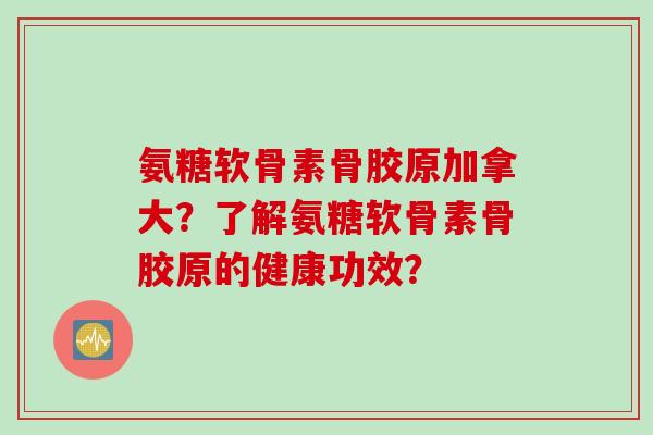 氨糖软骨素骨胶原加拿大？了解氨糖软骨素骨胶原的健康功效？