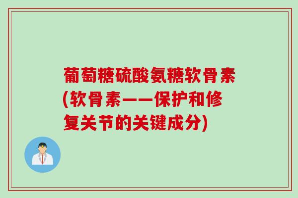 葡萄糖硫酸氨糖软骨素(软骨素——保护和修复关节的关键成分)
