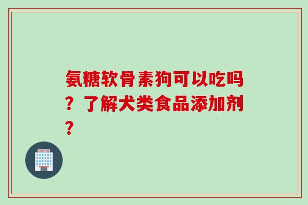 氨糖软骨素狗可以吃吗？了解犬类食品添加剂？