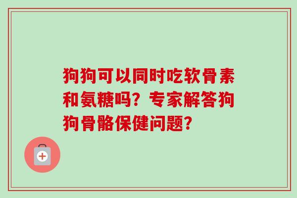 狗狗可以同时吃软骨素和氨糖吗？专家解答狗狗骨骼保健问题？