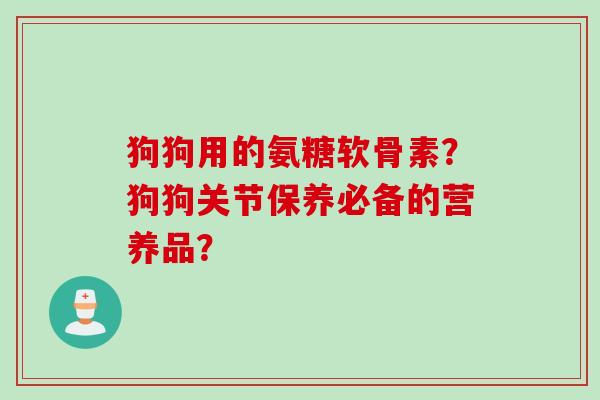 狗狗用的氨糖软骨素？狗狗关节保养必备的营养品？