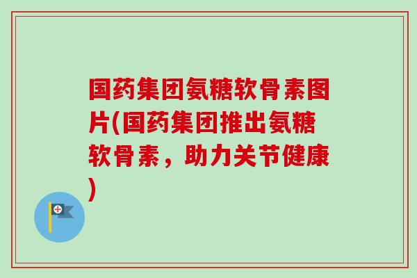 国药集团氨糖软骨素图片(国药集团推出氨糖软骨素，助力关节健康)