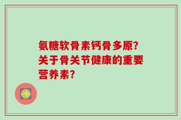 氨糖软骨素钙骨多原？关于骨关节健康的重要营养素？