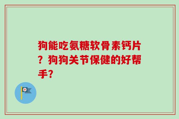 狗能吃氨糖软骨素钙片？狗狗关节保健的好帮手？