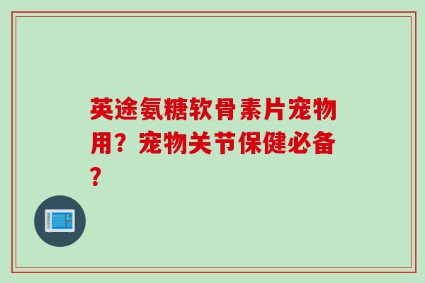 英途氨糖软骨素片宠物用？宠物关节保健必备？