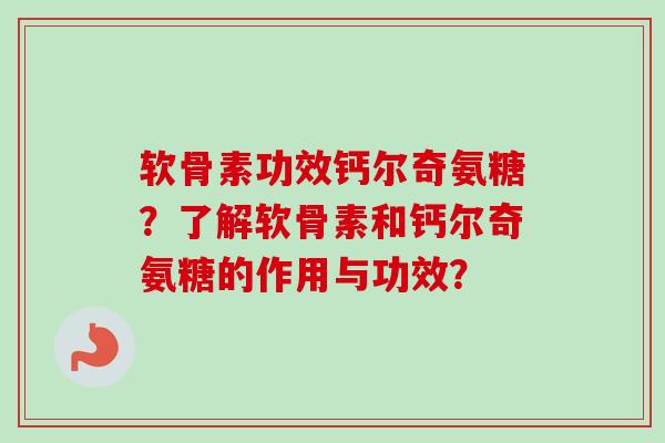 软骨素功效钙尔奇氨糖？了解软骨素和钙尔奇氨糖的作用与功效？