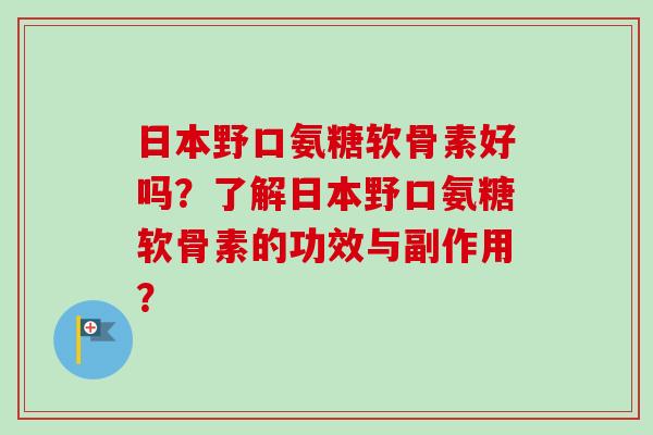日本野口氨糖软骨素好吗？了解日本野口氨糖软骨素的功效与副作用？