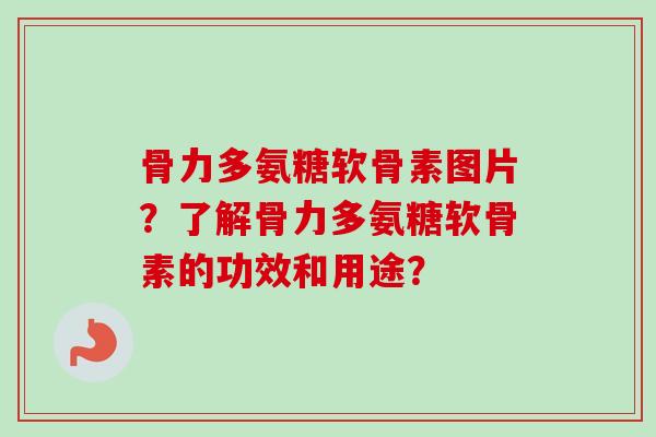 骨力多氨糖软骨素图片?了解骨力多氨糖软骨素的功效和用途? 骨力多氨糖软骨素图片?了解骨力多氨糖软骨素的功效和用途?