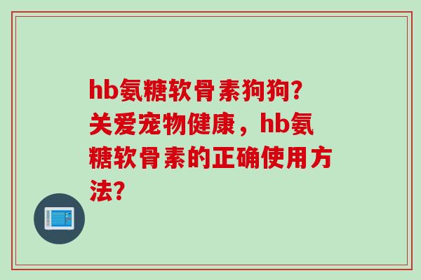hb氨糖软骨素狗狗?关爱宠物健康,hb氨糖软骨素的正确使用方法? hb氨糖软骨素狗狗?关爱宠物健康,hb氨糖软骨素的正确使用方法?