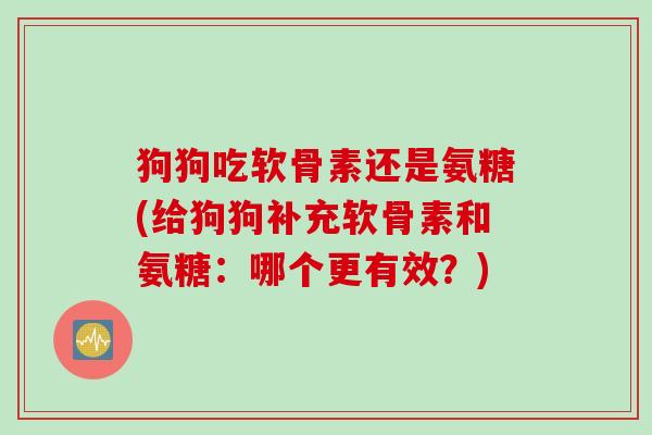 狗狗吃软骨素还是氨糖(给狗狗补充软骨素和氨糖:哪个更有效?) 狗狗吃软骨素还是氨糖(给狗狗补充软骨素和氨糖:哪个更有效?)