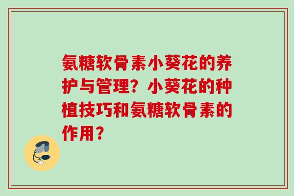 氨糖软骨素小葵花的养护与管理？小葵花的种植技巧和氨糖软骨素的作用？
